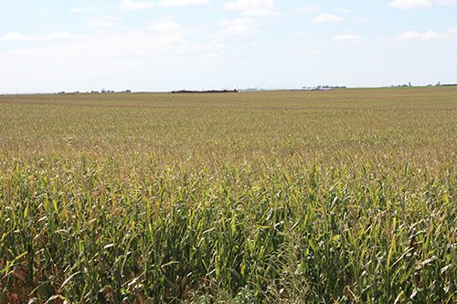 Property photo 88 - LAND AUCTION, 3255+/- Acres offered in 13 Tracts